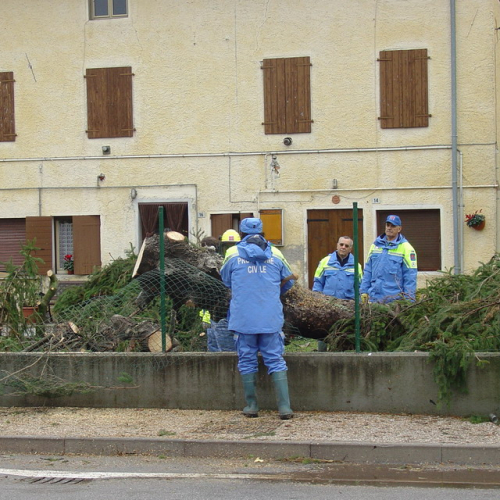 interventi volontari 01/12 n. 33 / 32710