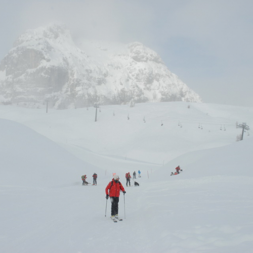 Esercitazione a Sella Nevea del 21/02 n. 34 / 91370