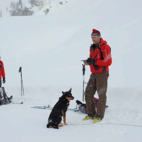 Esercitazione a Sella Nevea del 21/02 n. 35 / 91371