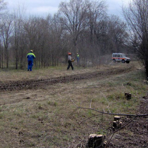 Addestramento a Palazzolo dello Stella - foto Turco 3 / 35924