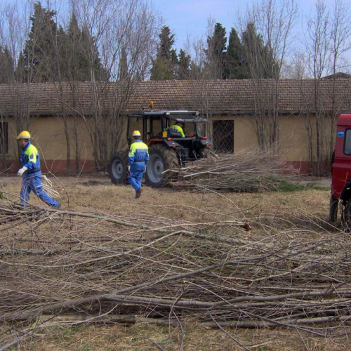Addestramento a Palazzolo dello Stella - foto Turco 4 / 35925