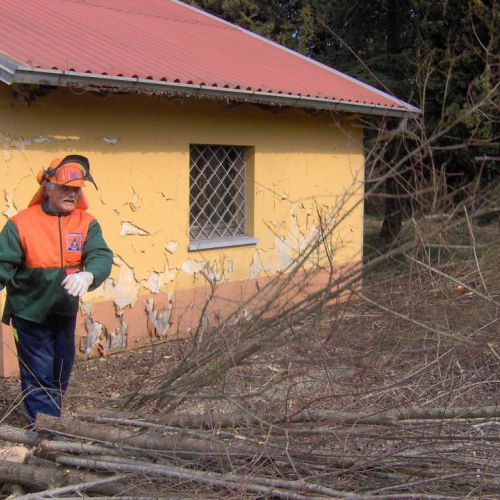 Addestramento a Palazzolo dello Stella - foto Turco 5 / 35926