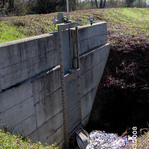 foto attivit‡ con scuola media n. 5 / 22331