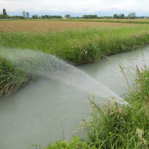 Corso motopompe n. 41 / 81065