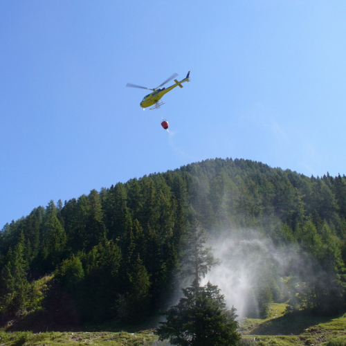 Incontro Sella di Lom - Dolinzia f. 20 / 15665