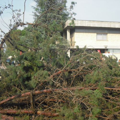 Esercitazione 404/07/10 n. 42 / 54785