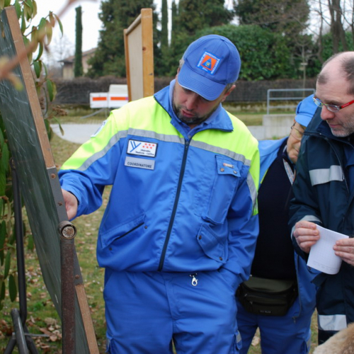Esercitazione Vivaro 20/03 n. 15 / 49393