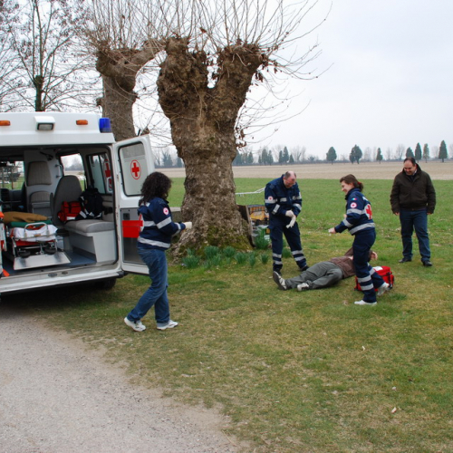 Esercitazione Vivaro 20/03 n. 16 / 49394
