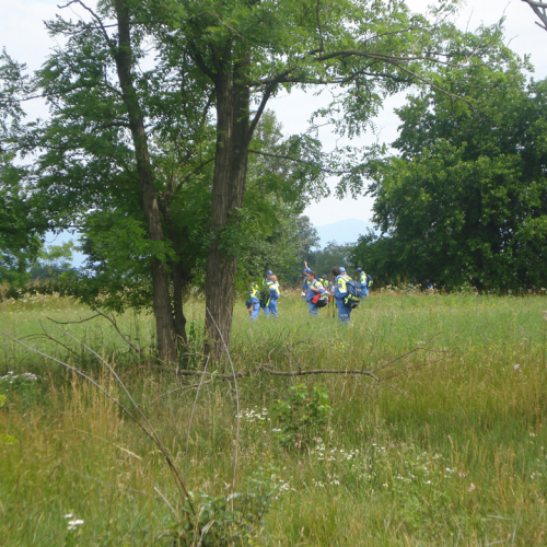 Total Training Arzene 2011 n. 36 / 67141
