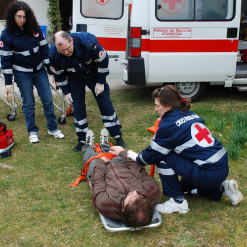Esercitazione Vivaro 20/03 n. 17 / 49395