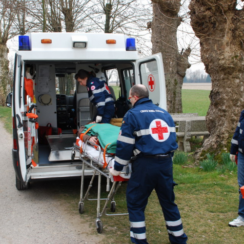 Esercitazione Vivaro 20/03 n. 18 / 49396