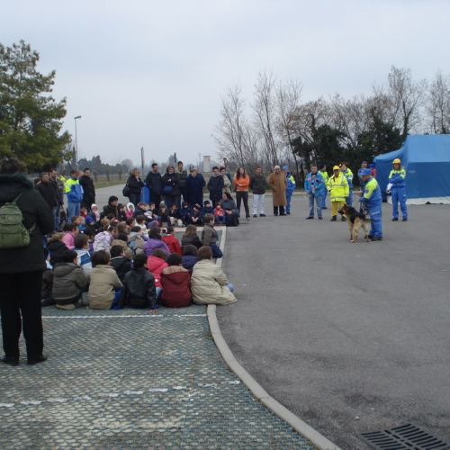 Esercitazione Vivaro 20/03 n. 20 / 49398