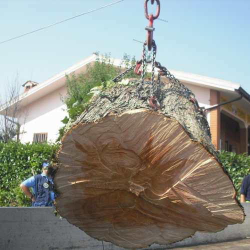 Esercitazione 404/07/10 n. 72 / 54815