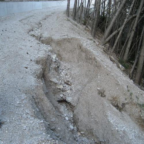Danni alluvione 04/09 n. 62 / 42037