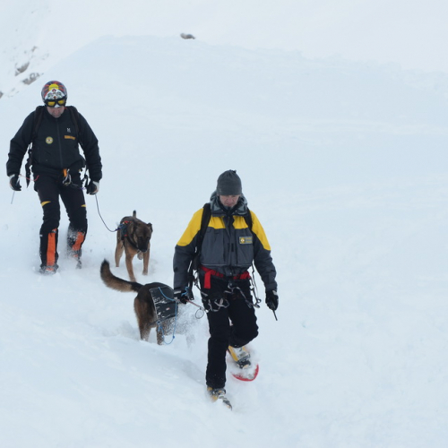 Esercitazione a Sella Nevea n.a 3 / 90614