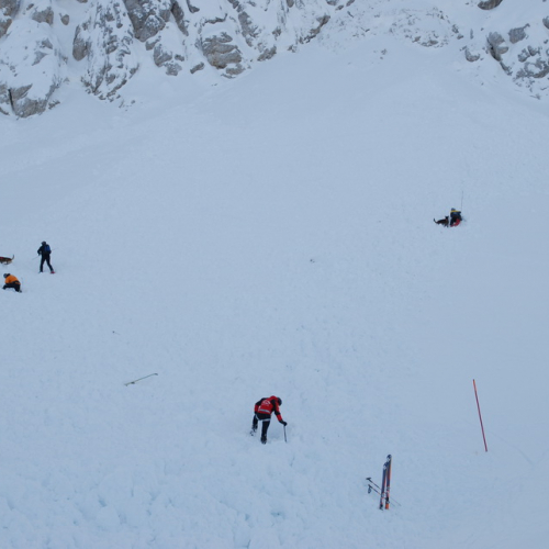 Esercitazione a Sella Nevea n.a 8 / 90619