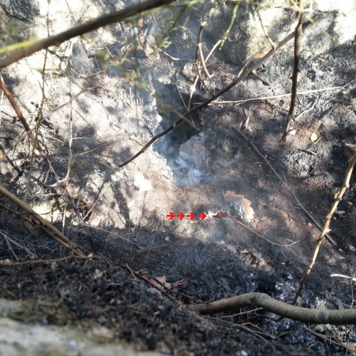 Incendio boschivo Visogliano n. 6 / 85315