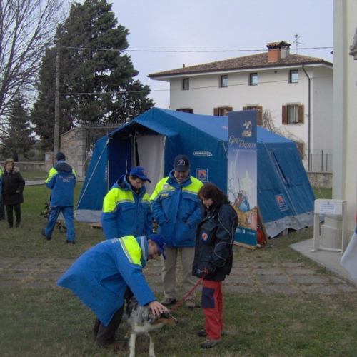 Tapogliano 16dic07 n. 7 / 19640