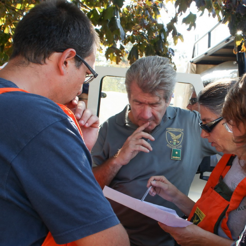 Incendi sul Carso n. 1 / 85277