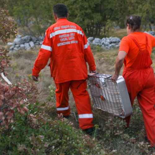 Incendi sul Carso n. 6 / 85282