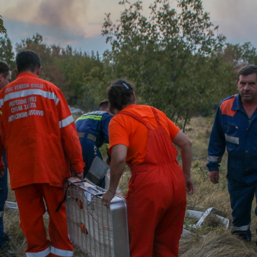 Incendi sul Carso n. 7 / 85283