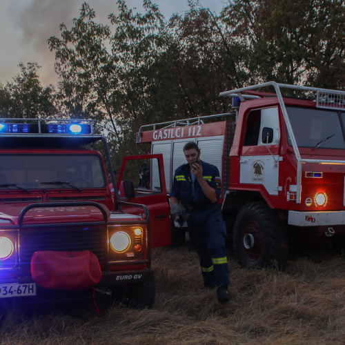 Incendi sul Carso n. 9 / 85285