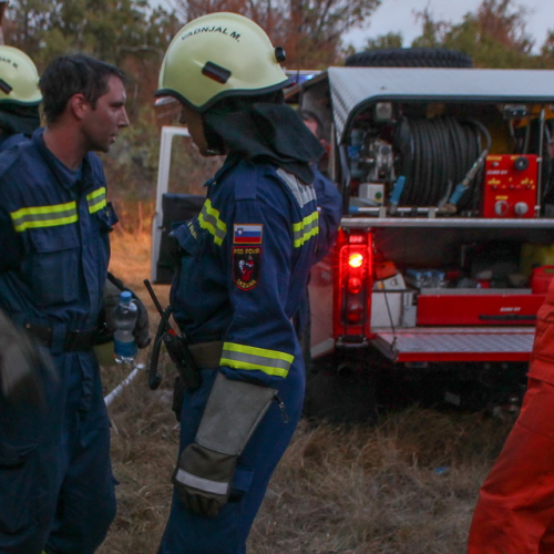 Incendi sul Carso n. 10 / 85286