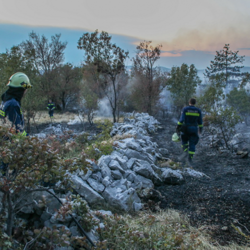 Incendi sul Carso n. 14 / 85290