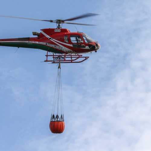 Incendi sul Carso n. 17 / 85293