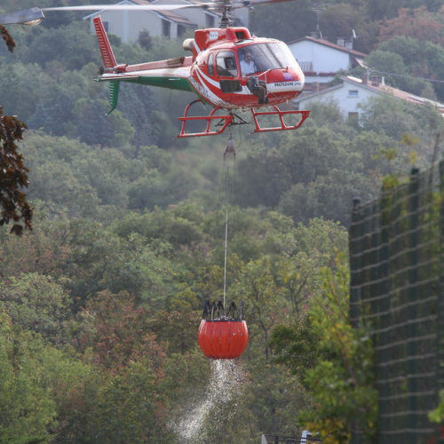 Incendi sul Carso n. 20 / 85296