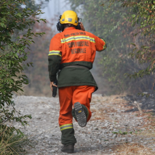 Incendi sul Carso n. 22 / 85298