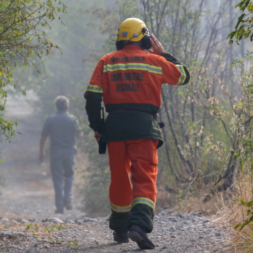 Incendi sul Carso n. 23 / 85299