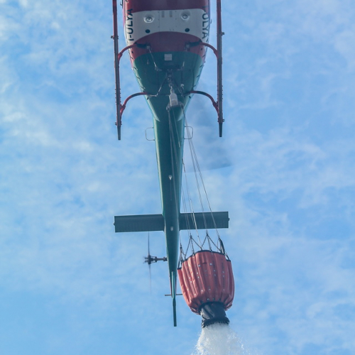 Incendi sul Carso n. 24 / 85300