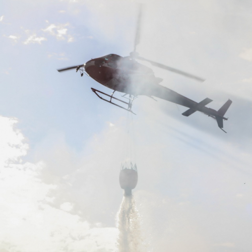 Incendi sul Carso n. 27 / 85303