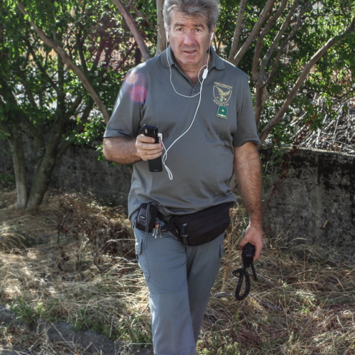 Incendi sul Carso n. 29 / 85305