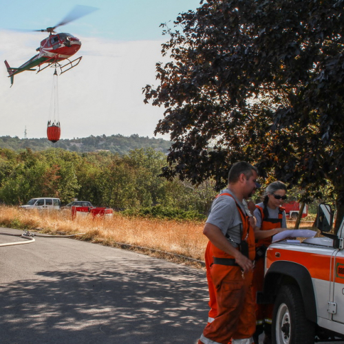 Incendi sul Carso n. 30 / 85306