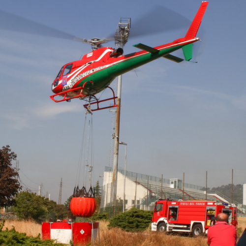 Incendi sul Carso n. 33 / 85309