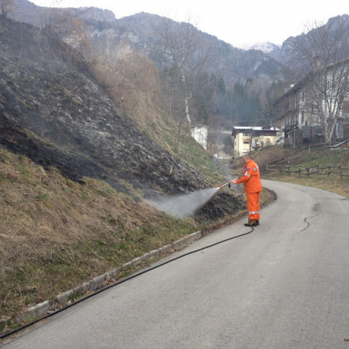 Incendio Forni di Sotto Localit‡ Vico n. 1 / 79206
