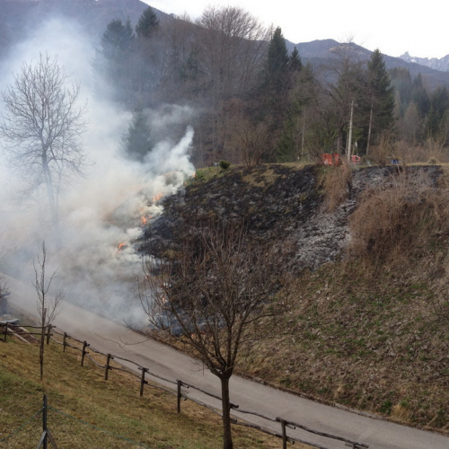 Incendio Forni di Sotto Localit‡ Vico n. 2 / 79207