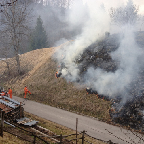 Incendio Forni di Sotto Localit‡ Vico n. 3 / 79208