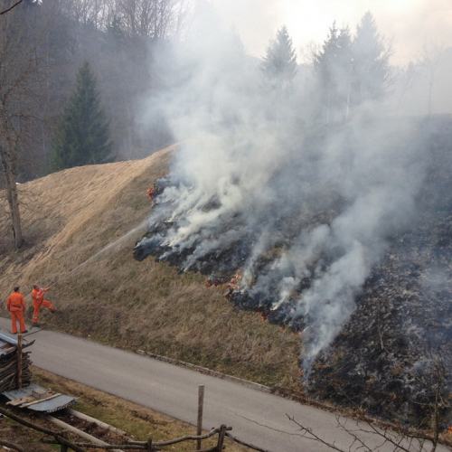 Incendio Forni di Sotto Localit‡ Vico n. 5 / 79210