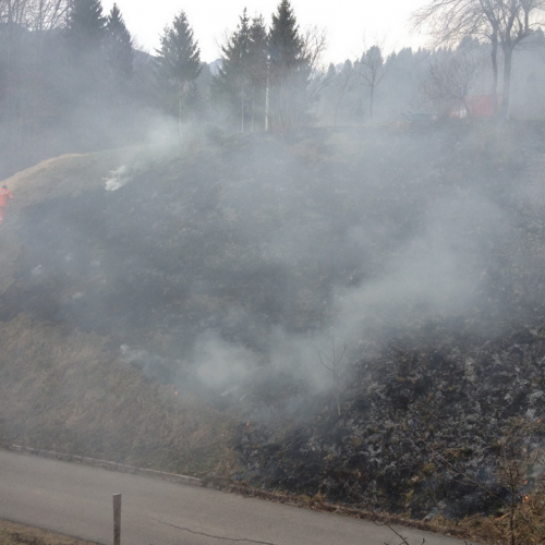 Incendio Forni di Sotto Localit‡ Vico n. 8 / 79213