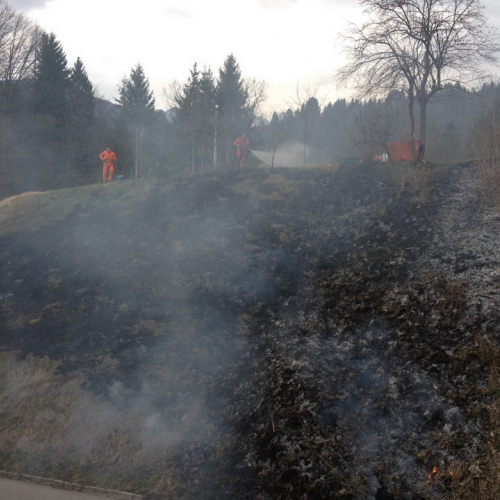 Incendio Forni di Sotto Localit‡ Vico n. 9 / 79214