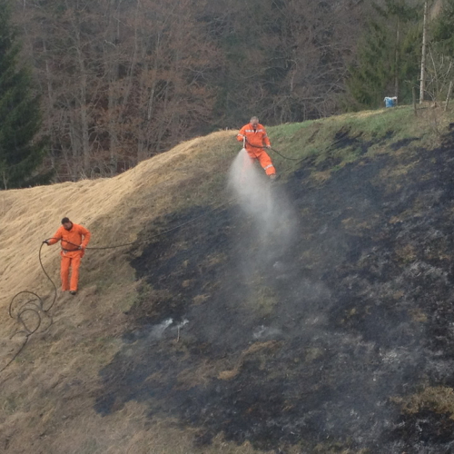 Incendio Forni di Sotto Localit‡ Vico n. 12 / 79217