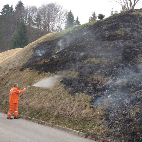 Incendio Forni di Sotto Localit‡ Vico n. 13 / 79218