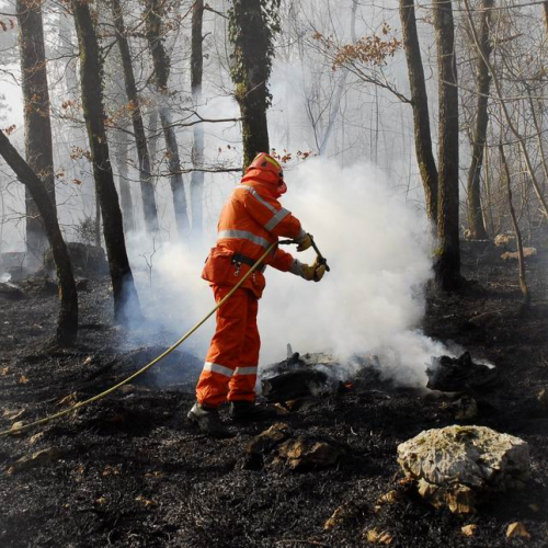 Incendio boschivo Monrupino-Trieste n. 2 / 77000