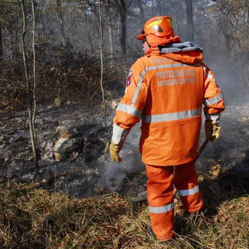 Incendio boschivo Monrupino-Trieste n. 4 / 77002
