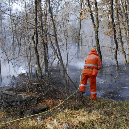 Incendio boschivo Monrupino-Trieste n. 15 / 77013