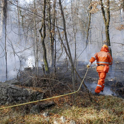 Incendio boschivo Monrupino-Trieste n. 16 / 77014