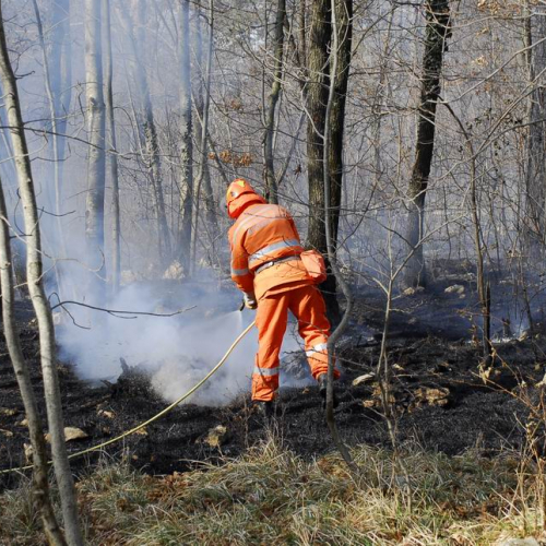 Incendio boschivo Monrupino-Trieste n. 17 / 77015